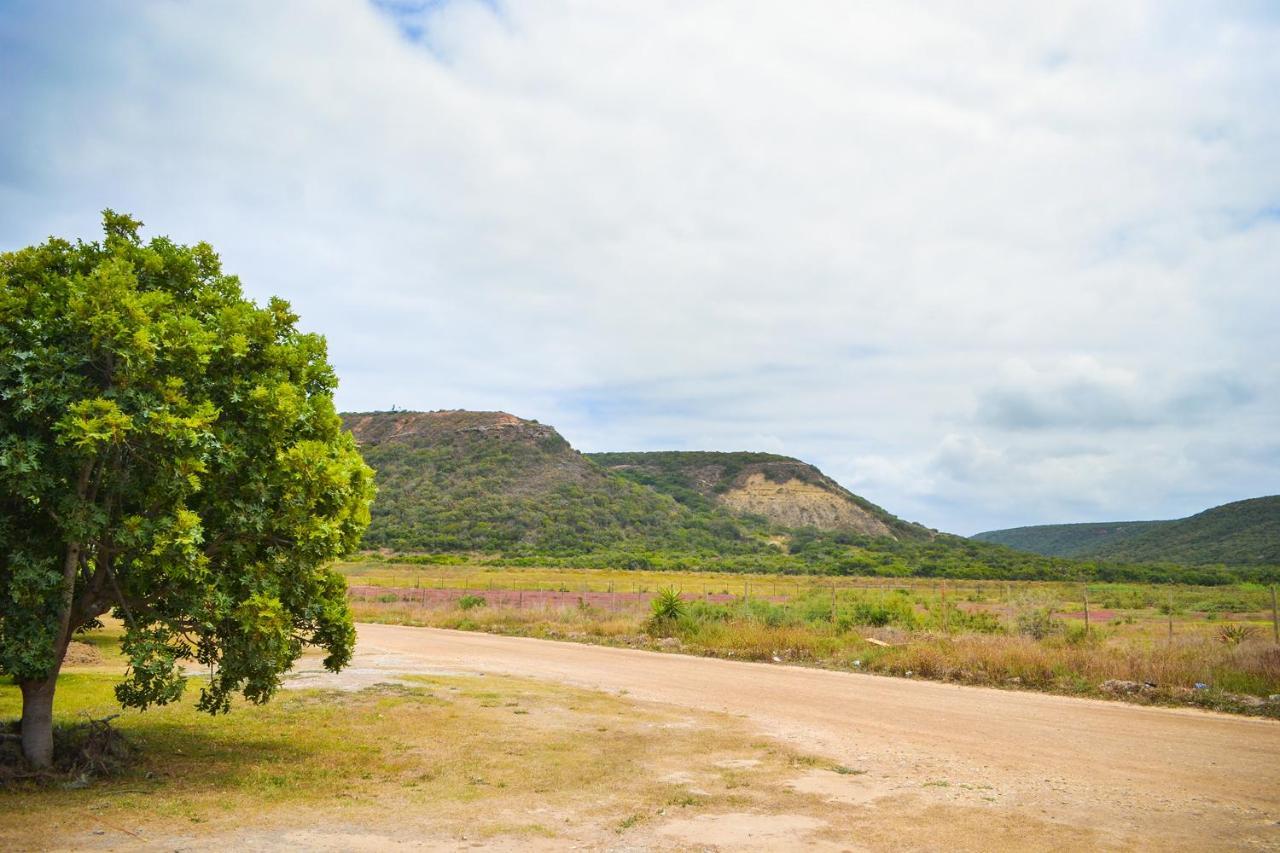 Park View Apartment - Ndlovu - Colchester - 5Km From Elephant Park Port Elizabeth Extérieur photo